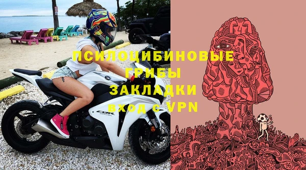 дмт Арсеньев
