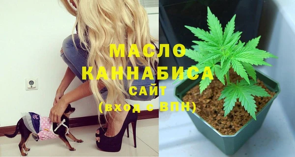 дмт Арсеньев