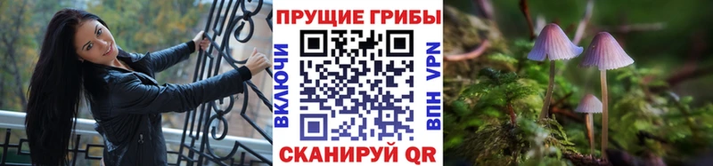 Галлюциногенные грибы GOLDEN TEACHER Верхняя Салда